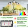 Графика на пълен спектър светлина (Full Spectrum), който възпроизвежда слънчевата светлина за бърз растеж.